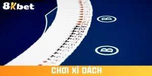 choi-xi-dach